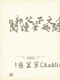 n部父子文全文阅读笔趣阁