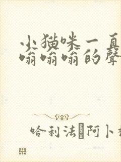 小猫咪一直发出嗡嗡嗡的声音