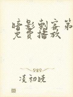 暗影刺客第八季免费播放