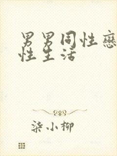 男男同性恋怎么性生活