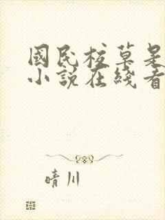 国民校草是女生小说在线看