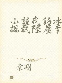 小说我的冰山女总裁陆尘李清瑶免费阅读