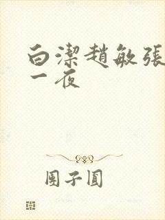 白洁赵敏张倩玩一夜
