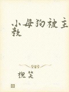 小母狗被主人调教