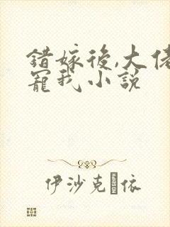 错嫁后,大佬独宠我小说