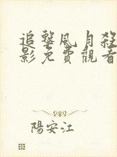 追击风月杀手电影免费观看完整版封面