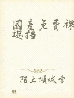 国产免费裸体无遮挡