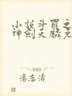 小说斗罗之灵珠神剑天麟免费全文阅读一