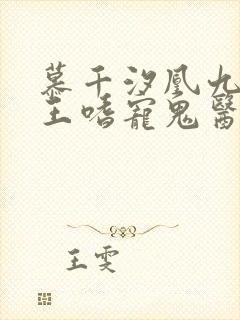 慕千汐凰九夜邪王嗜宠鬼医狂妃