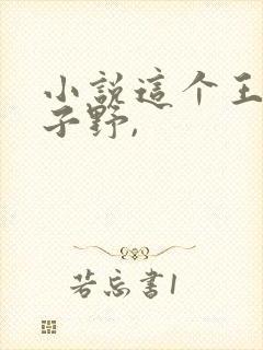 小说这个王妃路子野,