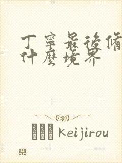 丁宁最后修炼到什么境界