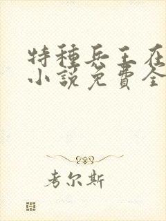 特种兵王在山村小说免费全文阅读