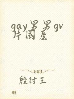 gay男男gv片国产