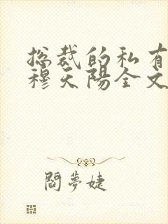 总裁的私有宝贝穆天阳全文阅读免费封面