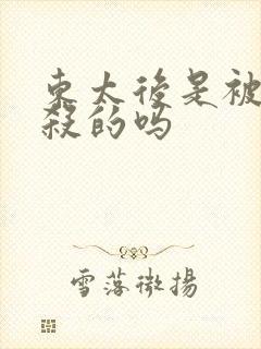 东太后是被慈禧杀的吗封面