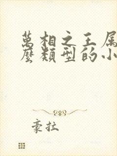 万相之王属于什么类型的小说