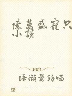 亿万盛宠只为你小说