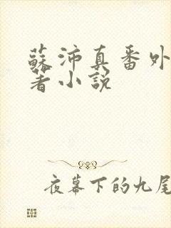 苏沛真番外篇原著小说