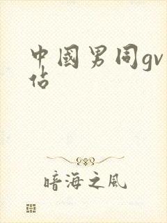 中国男同gv网站
