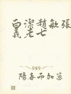 白洁赵敏张倩高义老七