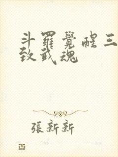 斗罗觉醒三个极致武魂封面