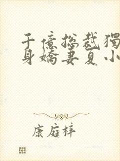 千亿总裁独宠替身娇妻夏小芙