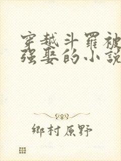 穿越斗罗被光翎强娶的小说