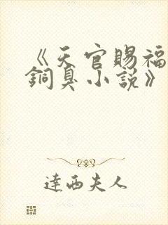 《天官赐福墨香铜臭小说》