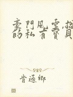 豪门风云,总裁的私有宝贝