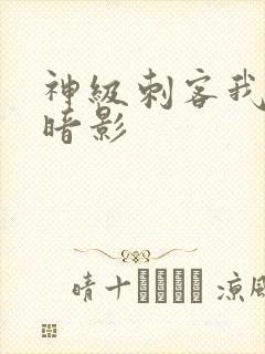 神级刺客我即是暗影