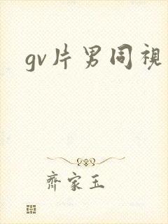 gv片男同视频