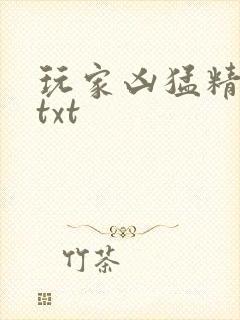 玩家凶猛精校版txt