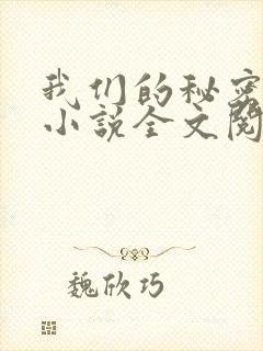 我们的秘密原著小说全文阅读