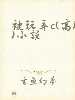 被玩弄c(高h)小说