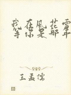 我在风花雪月里等你是哪年的小说封面