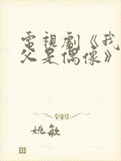 电视剧《我的继父是偶像》