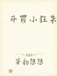 斗罗小狂朱竹清