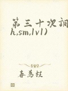 第三十次调教(h,sm,1v1)