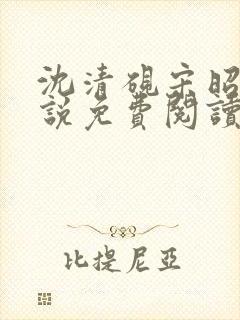 沈清砚宋昭汐小说免费阅读最新章节封面