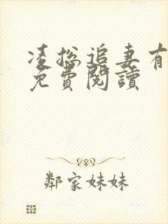 凌总追妻有点甜免费阅读封面