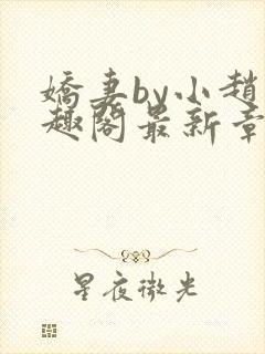 娇妻by小赵笔趣阁最新章节