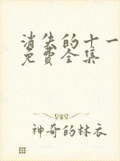 消失的十一层 免费全集