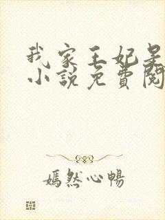 我家王妃是逗比小说免费阅读全文