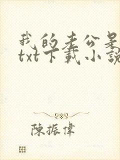 我的老公是大佬txt下载小说