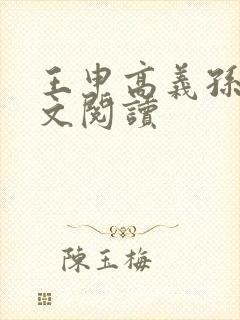 王申高义孙倩全文阅读封面