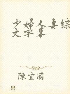 少妇人妻综合中文字幕