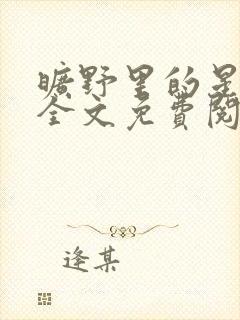 旷野里的星小说全文免费阅读封面