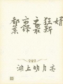 都市之狂婿战神叶锋最新封面