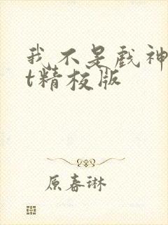 我不是戏神txt精校版