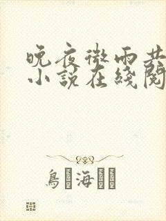 晚夜微雨共归途小说在线阅读